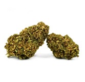 CHANEL 5 GRS GREENHOUSE FLEURS DE CBD