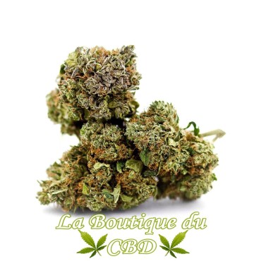 la boutique du cbd - Fleur de CBD OG Kush Variété Indoor