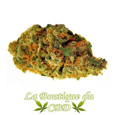 La boutique du CBD - Fleur de CBD Jack Herer Variété Indoor