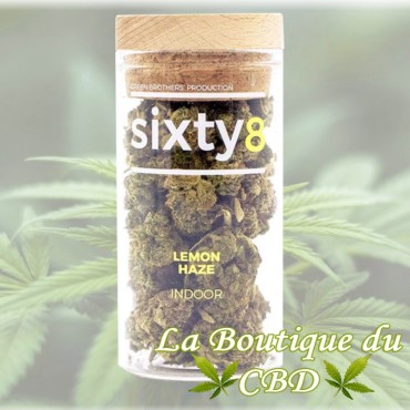 Fleur de CBD Lemon Haze Variété Indoor
