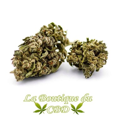 la boutique du CBD - Fleur de CBD Lemon Haze Variété Indoor