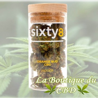 Fleur de CBD Orange Bud Variété Indoor