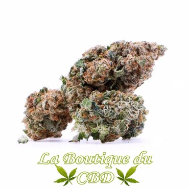 La boutique du cbd - Fleur de CBD Orange Bud Variété Indoor
