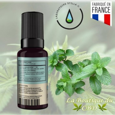 CBD E-LIQUIDE 1000MG - 10% CBD MENTHE - La Boutique du CBD®