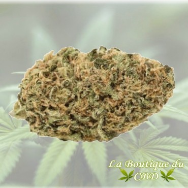 FLEUR DE CBD 2GRS CRITICAL OUTDOOR - LA BOUTIQUE DU CBD®