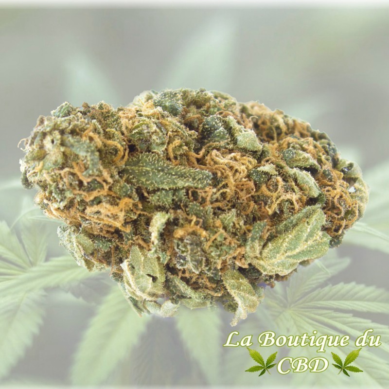 CBD - FLEUR DE CBD SOUR WIDOW OUTDOOR 5GRS- LA BOUTIQUE DU CBD®