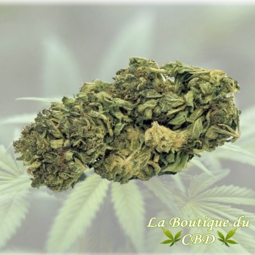 FLEUR DE CBD 2 GRS OG Kush GREENHOUSE - LA BOUTIQUE DU CBD®