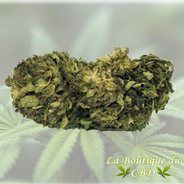 FLEUR DE CBD 5 GRS OG Kush GREENHOUSE - LA BOUTIQUE DU CBD®