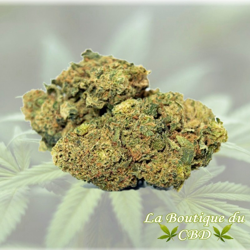 cbd - FLEUR DE CBD 2 GRS Gorilla Glue INDOOR - LA BOUTIQUE DU CBD®