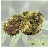 FLEUR DE CBD 2 GRS Mango kush INDOOR - LA BOUTIQUE DU CBD®