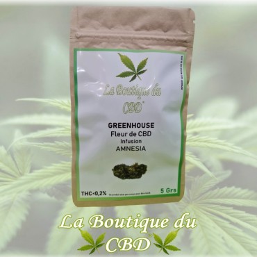 cbd - FLEUR DE CBD 5 GRS AMNESIA GREENHOUSE - LA BOUTIQUE DU CBD®