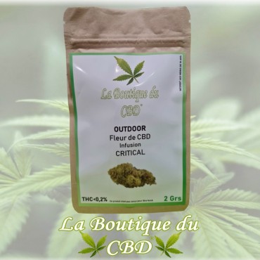 CBD - FLEUR DE CBD 2GRS CRITICAL OUTDOOR - LA BOUTIQUE DU CBD®