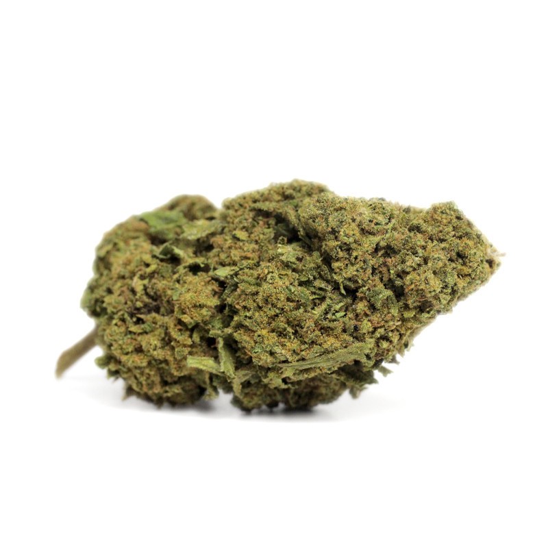 GORILLA 2 GRS FLEUR DE CBD - 13,4% INDOOR GORILLA 2 GRS FLEUR DE CBD - 13,4% INDOOR
