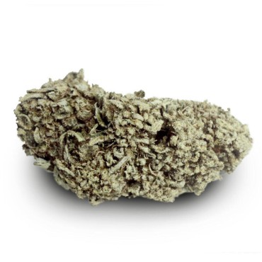 JACK HERER 5 GRS FLEUR  - 15% CBN