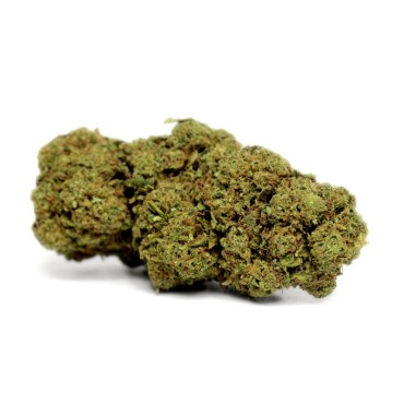 WATERMELON 5 GRS FLEUR DE CBD - 15,56% INDOOR