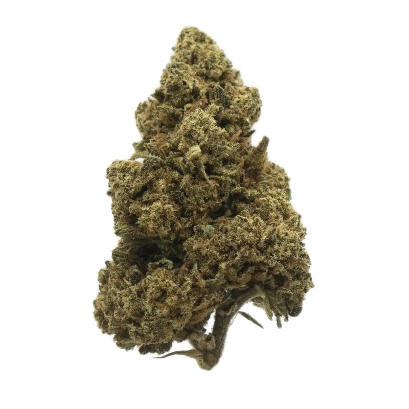 Amnesia Haze 1 GRS FLEUR DE CBD - 15% INDOOR Amnesia Haze 1 GRS FLEUR DE CBD - 15% INDOOR