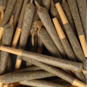 CBD PRE ROLLS TRIM H4CBD