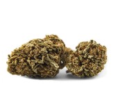 JACK HERRER 5 GRS GREENHOUSE FLEURS DE CBD INFUSION