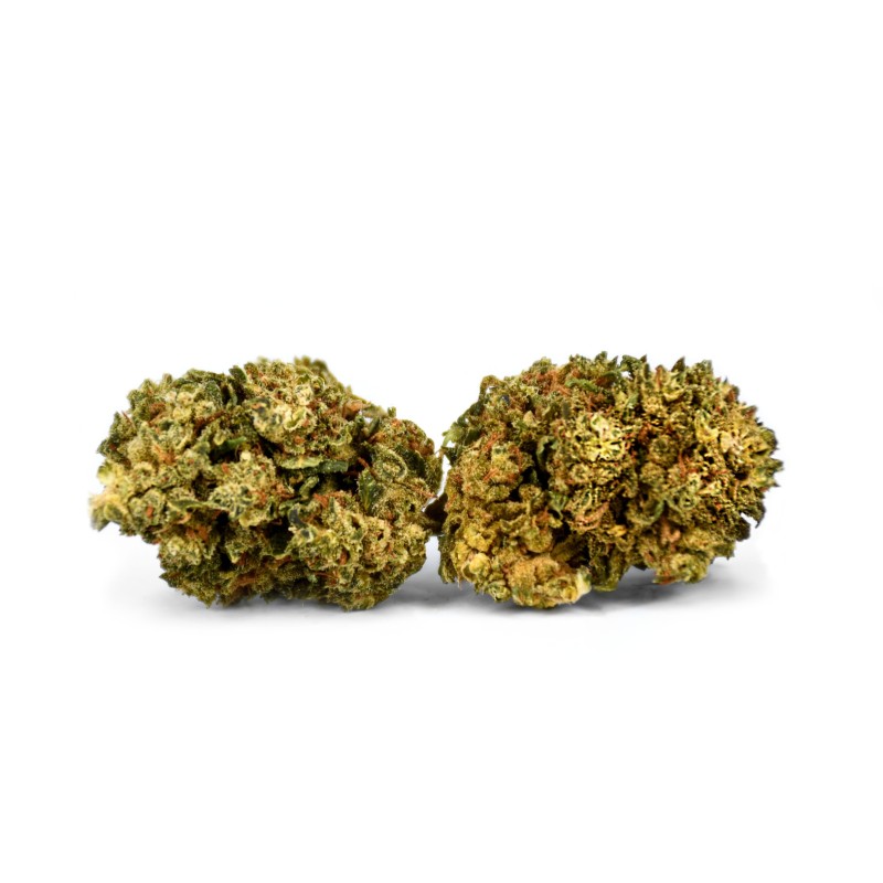 GELATO 10 GRS GREENHOUSE FLEURS DE CBD