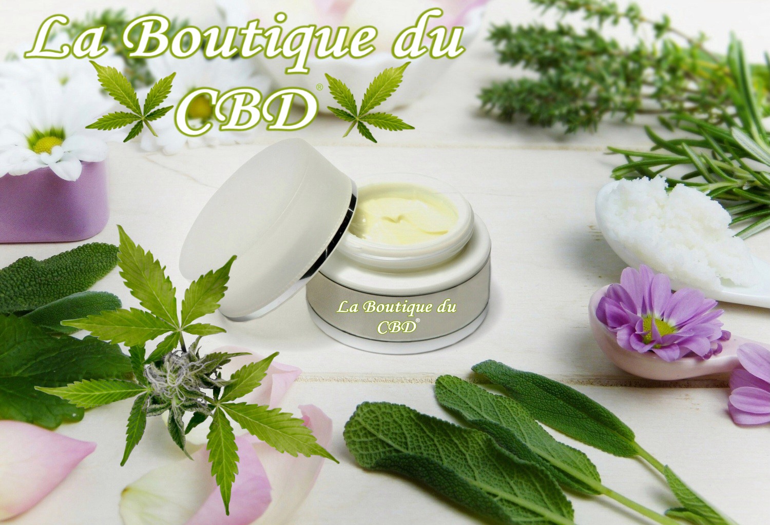 COSMETIQUES CBD ROUILLY 77