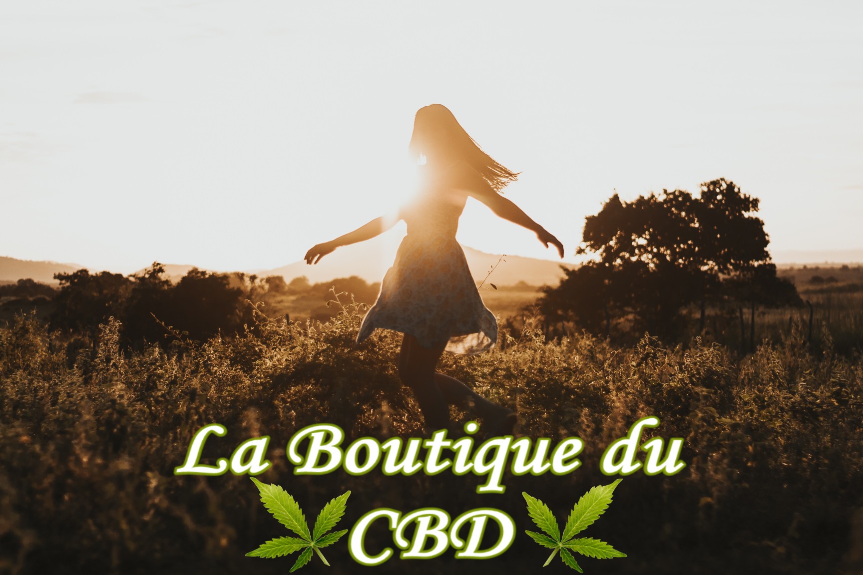 LES BÉNÉFICES DES EFFETS DU CBD - liberte