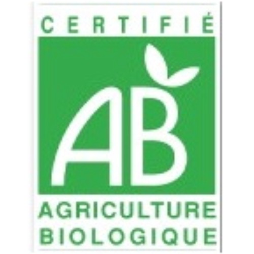INFUSION BIO BAUME SPIRITUEL AU CBD