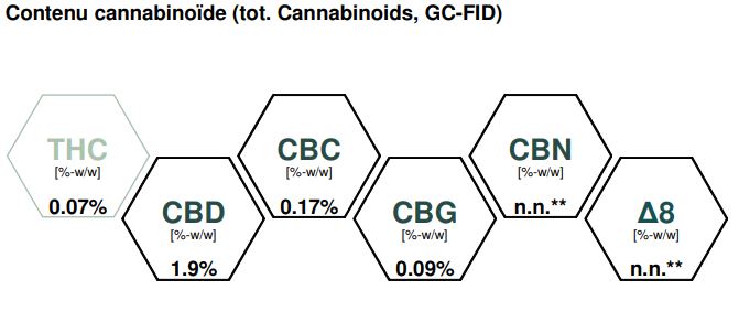 FLEUR DE CBD 2GRS AMNESIA - LA BOUTIQUE DU CBD®