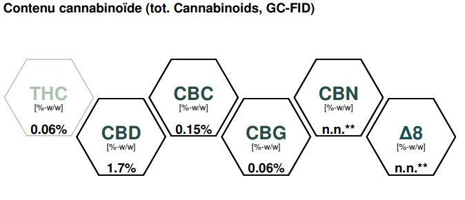 FLEUR DE CBD CRITICAL OUTDOOR 2GRS- LA BOUTIQUE DU CBD®