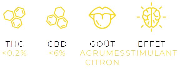 Fleur de CBD Lemon Haze Variété Indoor