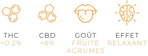 Fleur de CBD MANGO Variété Greenhouse