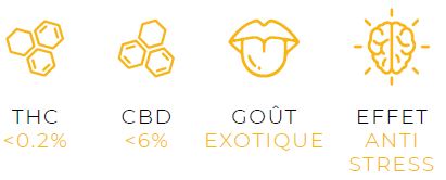 Fleur de CBD Pineapple skunk Variété Indoor