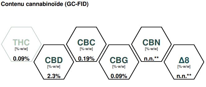 FLEUR DE CBD SOUR WIDOW OUTDOOR 2GRS- LA BOUTIQUE DU CBD®