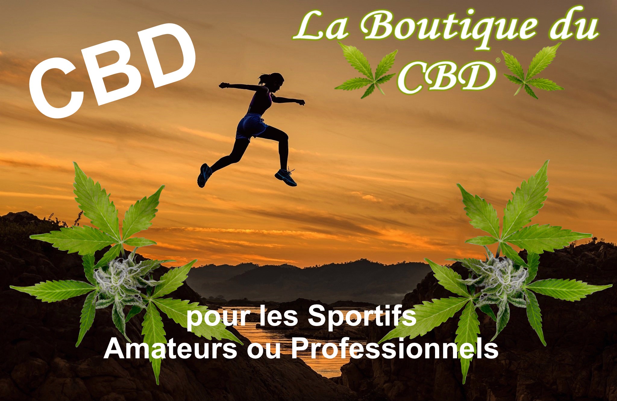 CBD POUR SPORTIFS