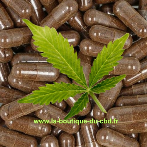 GÉLULES DE CBD