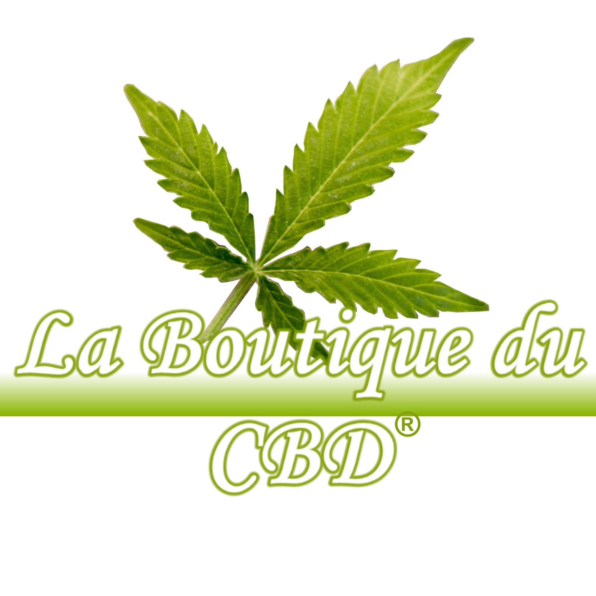 RESINE - ISOLAT- POLLEN DE CBD
